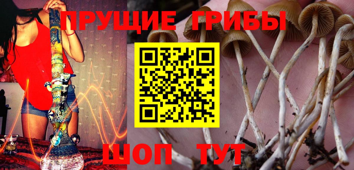 Псилоцибиновые грибы мухоморы  Вход с VPN  Знаменск 